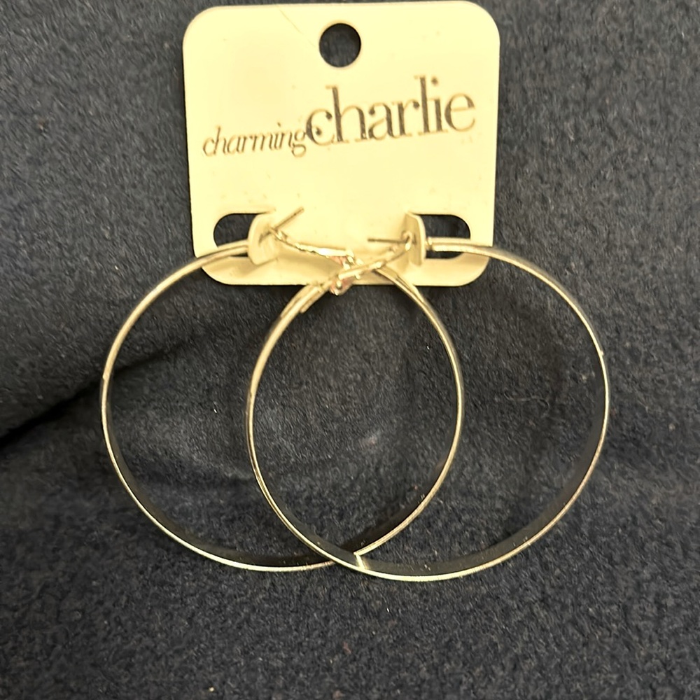 Hooped Earrings